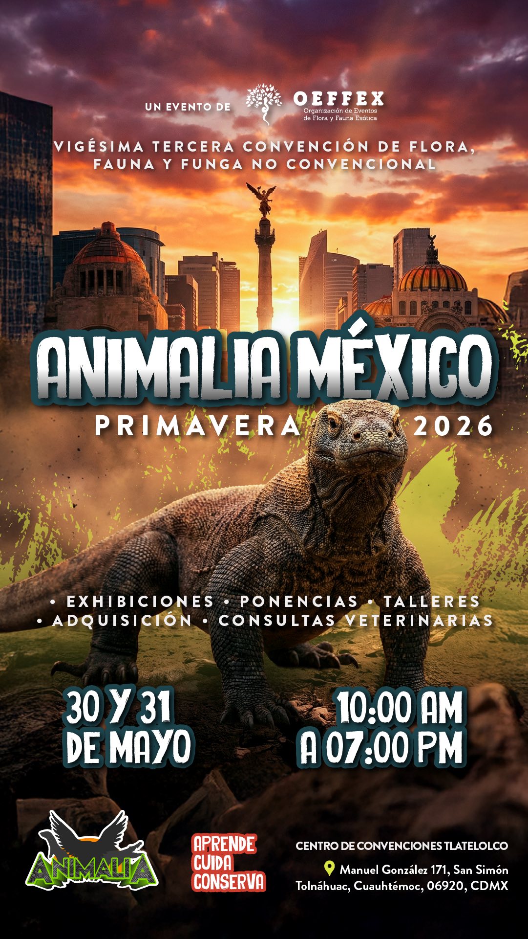 Animalia regresa con su edición Primavera 2026.jpg